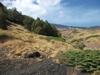 rrente Quarantore-20110911 129